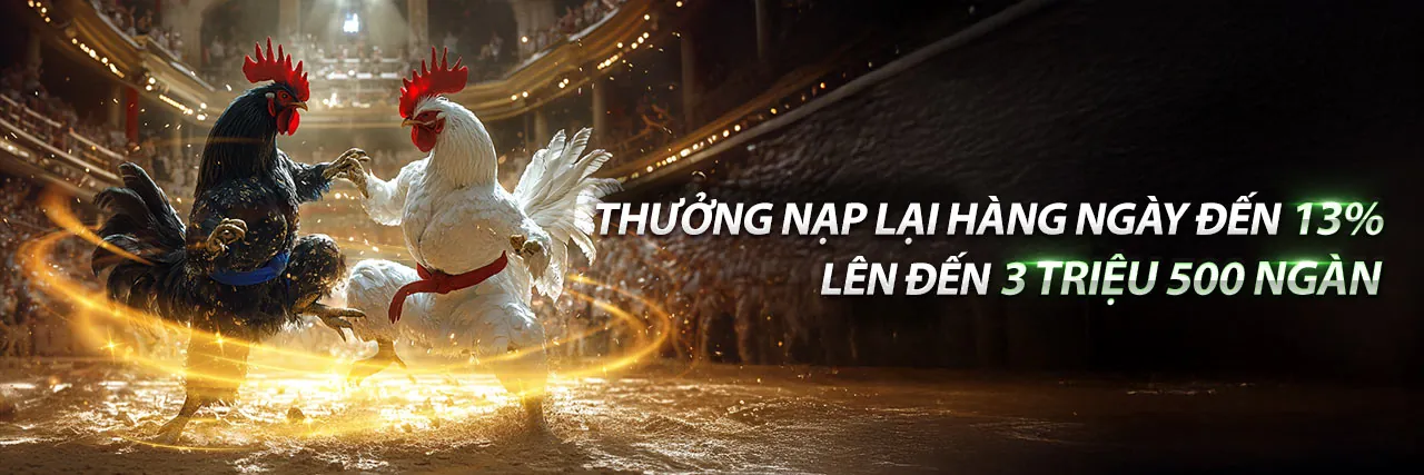 Các chương trình khuyến mãi độc quyền tại Rikbet Win
